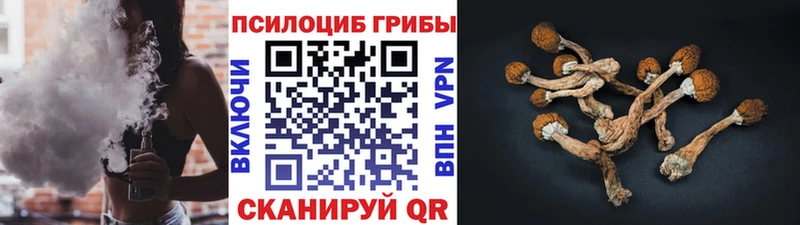 Псилоцибиновые грибы Cubensis  Сегежа 