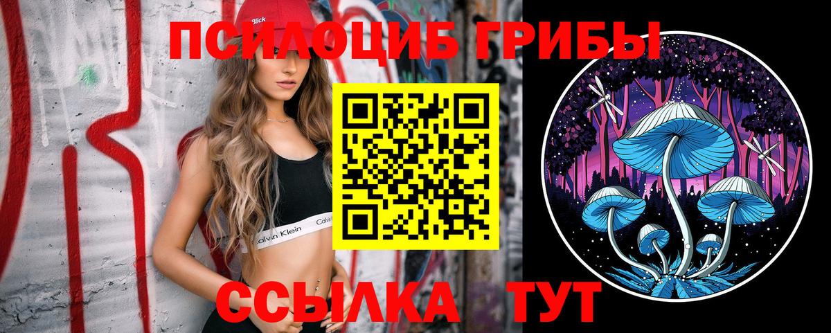 Сегежа  Псилоцибиновые грибы прущие грибы  что такое наркотик  Вход с VPN 