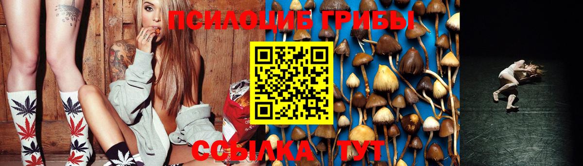 Псилоцибиновые грибы Psilocybe Сегежа